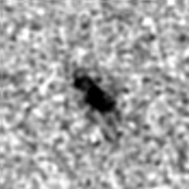 2MASS J gif
