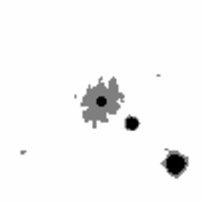2MASS J gif