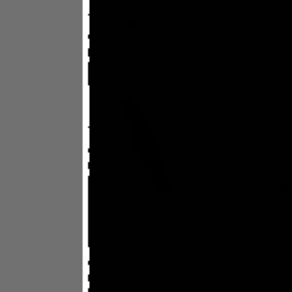 2MASS J gif