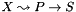 $X\leadsto P\rightarrow S$